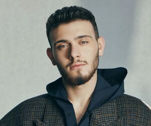 Al Shami.JPG