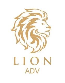 Lion ADV.JPG