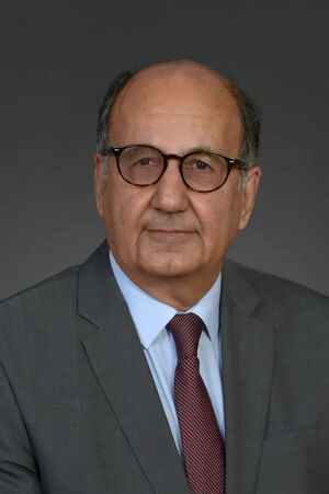 Mohammad Hassan Peerhossaini.JPG
