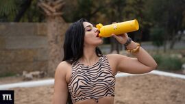 Asal Persian - Wikitia