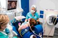 Thumbnail for version as of 14:02, 24 February 2026